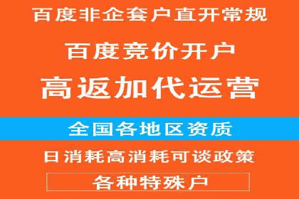 百度SEO推广公司案例分享：行业佼佼者经验